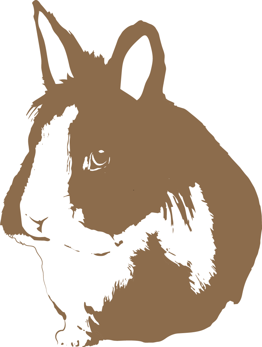 WS stamp illustration