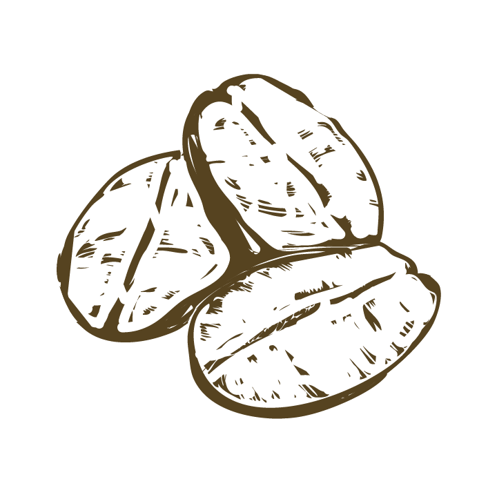 Cozy Critter Café coffee beans illustration